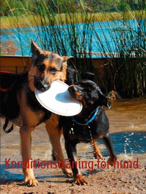 cover image of Konditionsträning för hund